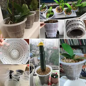 Pot d'orchidées en plastique transparent pour plante, sans danger, respirant