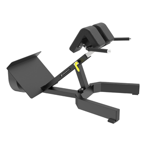 45 Extension <span class=keywords><strong>chaise</strong></span> romaine durable usage domestique banc abdominal pour <span class=keywords><strong>musculation</strong></span> sécurité-caractéristique banc de <span class=keywords><strong>musculation</strong></span> équipement de sport en métal - Product Image 1