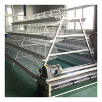 Nouveau système de cages en batterie automatiques pour poules pondeuses, galvanisées à chaud, de type A, pour élevages avicoles, avec une durée de vie de 15 à 20 ans