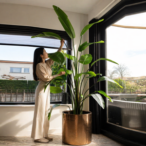 Venta <span class=keywords><strong>al</strong></span> por Mayor de Planta Artificial de Ave del Paraíso de 8 pies con 13 Troncos, Strelitzia Nicolai Realista para Proyectos Comerciales - Product Image 6