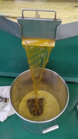 Presse à huile à vis Qifeng Machinery 6YL-195 9,6T par jour pour huile de tournesol et de moutarde
