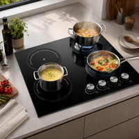 Table de cuisson encastrable quatre brûleurs en verre et à induction électrique, double combustible, allumage électronique, classe A, économie d'énergie, pour usage familial, compatible gaz