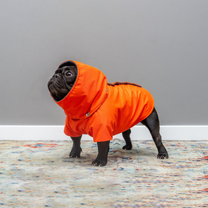 Qiqu Pet Supplies Personnalisé Nouveau Designer Bouledogues Français Imperméables Imperméables Chien Printemps Automne Manteau Frenchies Veste <span class=keywords><strong>Carlin</strong></span> Chien Vêtements - Product Image 1