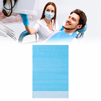 Bavoirs jetables pour personnes âgées, 2 plis, en papier PE imperméable, avec poche et attaches, pour les soins aux personnes âgées en maison de retraite, vente en gros
