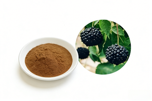 Натуральный экстракт элеутерокока синтетического в порошке - Элеутерозиды B+E ≥<span class=keywords><strong>1.0</strong></span>% Порошок сибирского женьшеня - Product Image 5