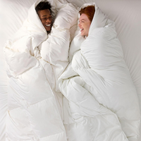 Couette en duvet de canard ultra chaude de luxe OEM, enveloppe 100 % coton, puissance de remplissage 750, construction à compartiments, écologique et respirante