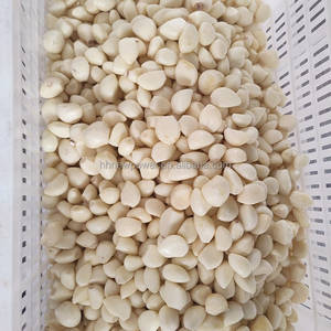 เครื่องปอกกระเทียม300กิโลกรัม/ชั่วโมงเครื่องปอกเปลือกกระเทียมออกผิวออนไลน์สายการผลิตเครื่องปอกกระเทียมอัตโนมัติ - Product Image 1