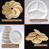 Assiettes jetables biodégradables en bagasse, plats ronds, vaisselle moderne pour les pique-niques scolaires et la restauration