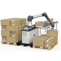 LWT Machine de palletiz d'empilage de parfums Équipement de palletiz automatisé Bras robotique Robot collaboratif Palettiseur automatique