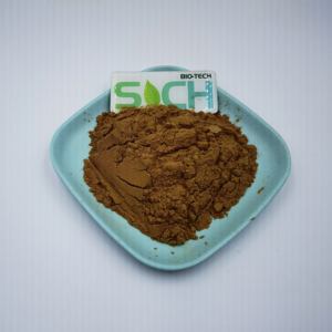 Integratore che promuove la salute, capsule di noni, frutto di noni, capsule di estratto di frutto di noni - Product Image 3