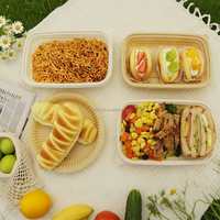 Boîtes de conservation alimentaire pour repas à emporter, compatibles micro-ondes, sans BPA, sans PFAS, compostables, 500 ml, 750 ml, 1000 ml, avec couvercles