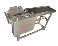Wholesale portable automatic reversing paging machine date code conveyor feeder for cards