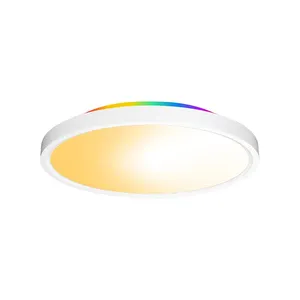 색상 변경 기능이있는 거실 및 침실을 위한 RGB 매직 천장 조명 원격 디밍 LED 실내 분위기 램프
