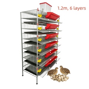 Equipo Comercial para Cría de Codornices, Sistema de Alimentación Automática para Cría de Alta Densidad - Product Image 6