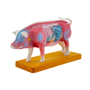 Modelo de entrenamiento de ciencia médica, modelo de acupuntura de cerdo para la enseñanza <span class=keywords><strong>y</strong></span> el aprendizaje, Animal - Product Image 1