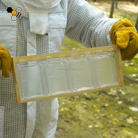 Boîte à miel en plastique, cadre à abeilles, boîte à miel en nid d'abeille, cassette pour cadre de ruche britannique