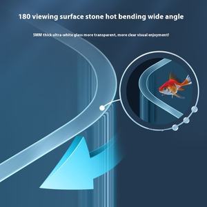 Serbatoio acquatico in vetro Super trasparente piccolo acquario da tavolo ecologico serbatoio di tartaruga <span class=keywords><strong>per</strong></span> soggiorno in scatola - Product Image 5