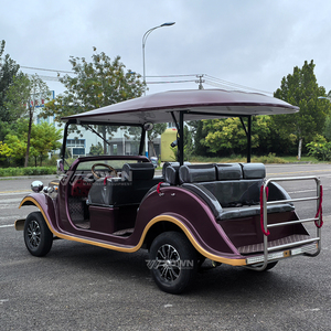 Autobús Turístico Clásico Eléctrico de Lujo 2026 de 8 Plazas para Recorridos en Sitios Turísticos y Resorts - Product Image 6