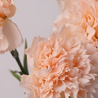 Fleur artificielle de carnation effet naturel pour décoration événementielle, vente en gros, fourniture florale réutilisable pour mariages et aménagement de lieux