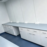 Banc de laboratoire en acier personnalisable, résistant aux produits chimiques, avec armoire suspendue pour laboratoire universitaire multidisciplinaire