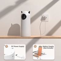 Jouets pour chats automatiques Interactive Smart Teasing Pet LED Laser Indoor Cat Toy Accessories Handheld Electronic Pet Toys