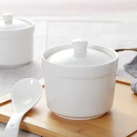 Fournisseur d'usine Restaurant Moderne Personnalisé 100% Mélamine Boîte à lunch Bol blanc Ensemble de bols à soupe avec couvercle