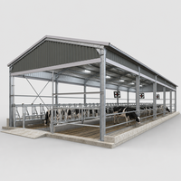 Bâtiment d'élevage de volailles en acier galvanisé à chaud robuste, résistant à la corrosion, pour poulailler industriel préfabriqué