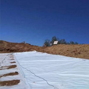 <span class=keywords><strong>Prix</strong></span> de géotextile de tissu non tissé 250gsm de haute résistance par mètre carré - Product Image 1