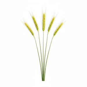 โคมไฟสนามหญ้ากลางคืน รูปดอกกุหลาบ สำหรับตกแต่งบ้านและสวน ไฟ LED แบบเสียบพื้น วัสดุ PVC กันน้ำระดับ IP65 แสง 3000K - Product Image 6