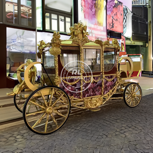 عربة حصانية للسندريلا الأميرة 2024 للبيع عربات زفاف ملكية لمشاهدة المعالم السياحية عربة حصانية كهربائية لحفلات الزفاف - Product Image 5