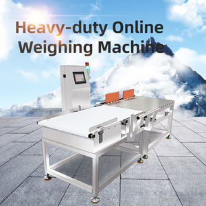 उच्च परिशुद्धता भारी-शुल्क ऑनलाइन स्वचालित वजन मशीन, रोलर कन्वेयर प्रकार वजन मशीन - Product Image 6