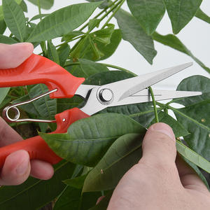 Sécateur de taille rouge en acier inoxydable, diamètre de coupe 10-20 mm, structure papillon, outil de jardinage pour arbres fruitiers - Product Image 3