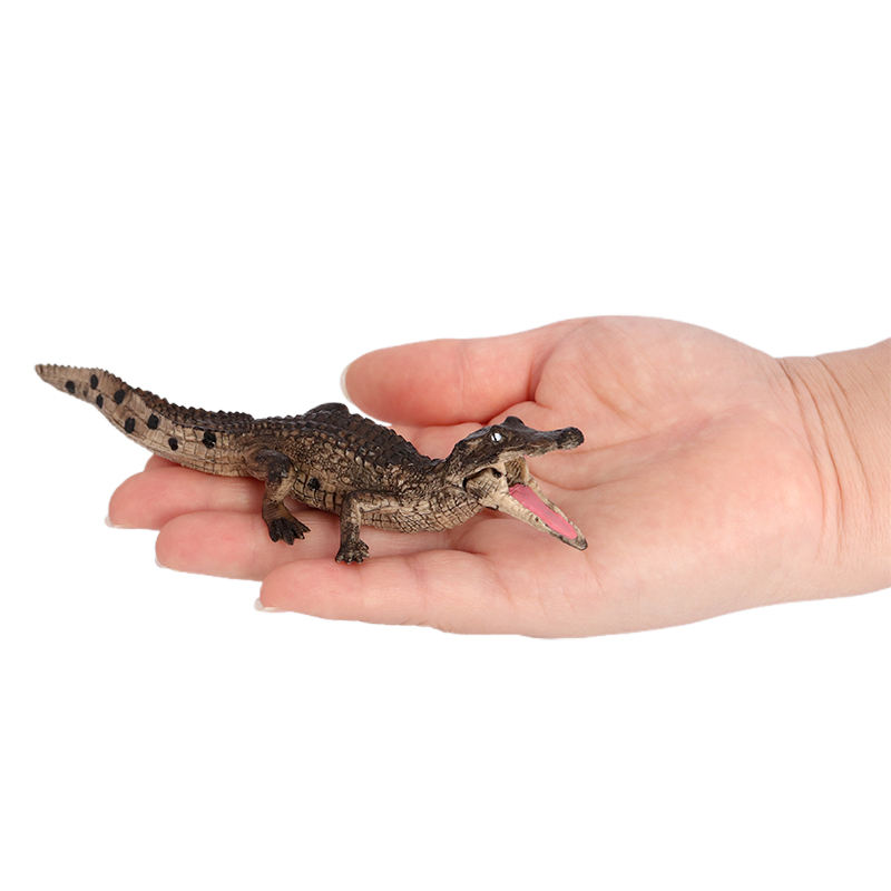 3974 Cocodrilo Caimán