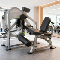 Nouvelle conception de machine à curls et extensions assises à charge libre avec fonctions de sécurité - Équipement de fitness multi-gym