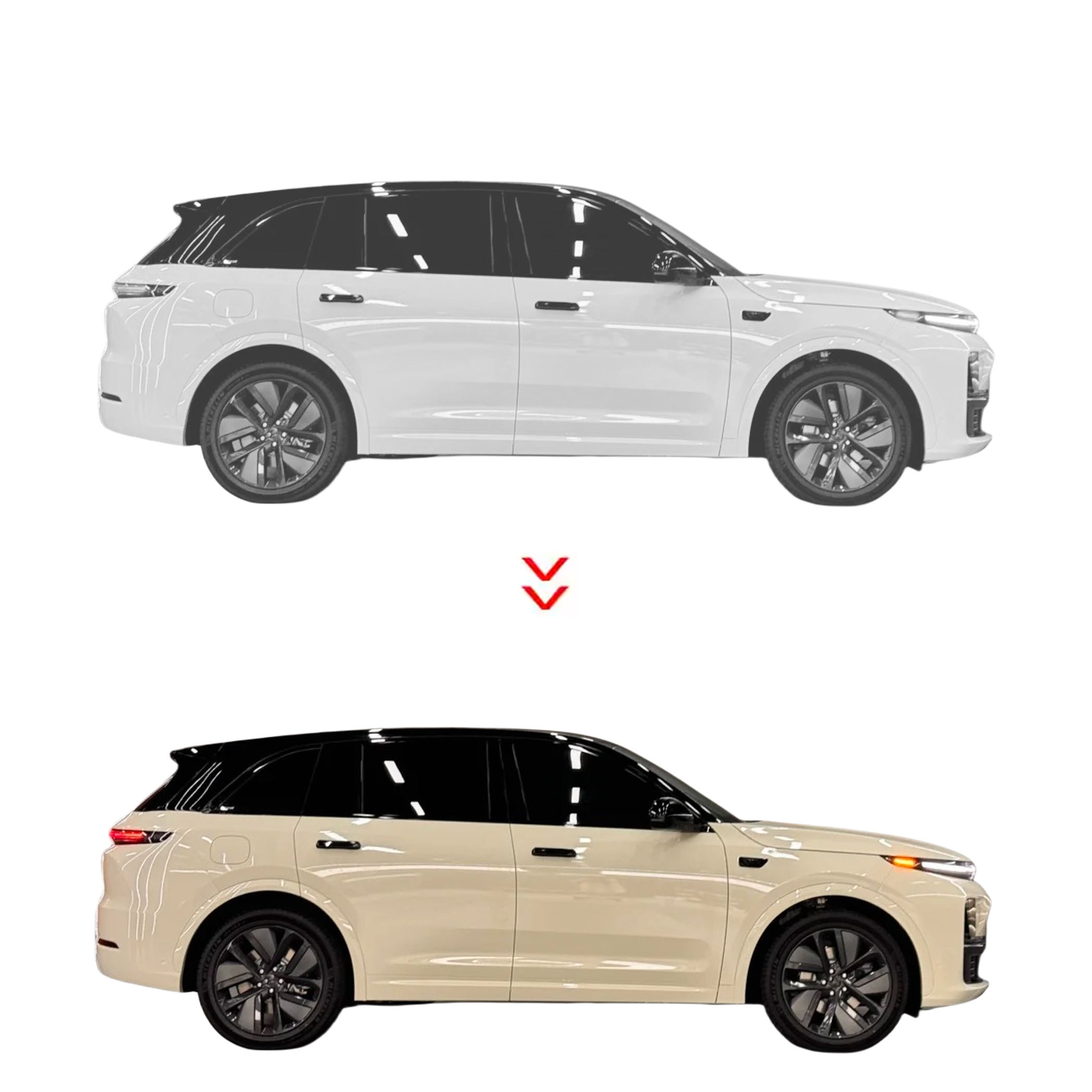 สัตว์เลี้ยงพริกไทยขาว