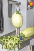Pompoen Ananas Mango Jackfruit Kokosschilmachine Automatische Broodvruchtschiller
