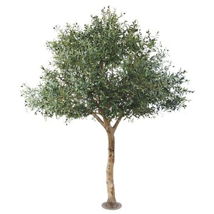 Albero di Ulivo Artificiale <span class=keywords><strong>in</strong></span> Plastica, Grande Pianta da Interno <span class=keywords><strong>in</strong></span> Vaso, Stile Cinese, Ecologico, Durevole, Regalo di Laurea, Decorazione per <span class=keywords><strong>Giardino</strong></span> - Product Image 5
