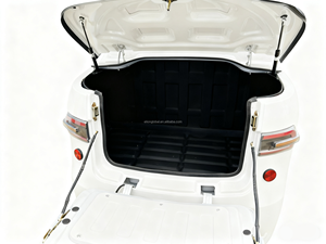 Tricycle <span class=keywords><strong>électrique</strong></span> fermé pour passagers ELN-YU3, moteur 1500W, <span class=keywords><strong>sans</strong></span> <span class=keywords><strong>permis</strong></span> - Product Image 2