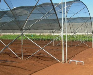 UV Resistant HDPE PVC <b>Sail</b> Shade Net Agricultural <b>Sun</b> Shade Cloth Plant Protection Greenhouse Livestock Shelter Outdoor Patio - Product Image 1
