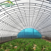 Grande serre agricole à simple travée avec film PE pour la culture de tomates et légumes, à faible coût, utilisable toute l'année, structure stable