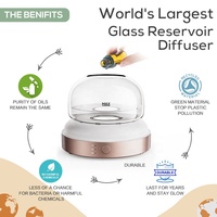Diffuseur d'huiles essentielles en verre Lecdura, diffuseur de parfum, réservoir en verre, diffuseur de parfum en forme de dôme