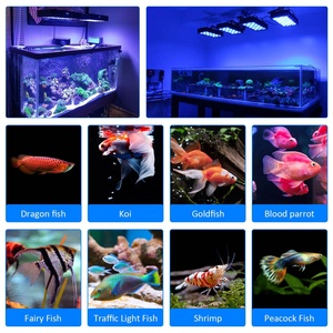 ไฟ LED สำหรับตู้ปลาแบบ Full Spectrum RGBW 165W วัสดุอะลูมิเนียมใหม่ มาตรฐาน IP44 สำหรับไฟส่องปะการัง ไฟเลี้ยงปลาทะเล ไฟสำหรับตู้ปลา - Product Image 3