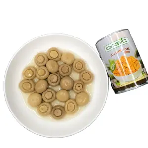 Canned mushrooms champignon whole/sliced/PNS in tins wholesale easy pull lid 2023 new