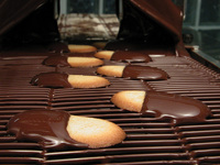 Machine à enrober le chocolat automatique la plus populaire, pour mini-chocolats, avec tunnel de refroidissement