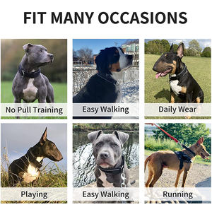 Custom Kleur Neopreen Martingaal Reflecterende Nylon Halsband - Product Image 4