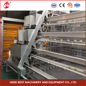 Utilisation optimisée de l'espace un type de modules de système de cage de poulet de couche automatique pour les poules 96-200 soutenant la gestion efficace de ferme - Product Image 5