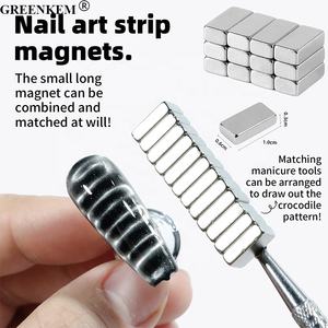 Nouveau 20pcs Forte Magnétique Crocodile Motif Nail Magnet Multi Fonctionnel Long Rectangulaire Cat Eye Magnet Petite Brique Nail Magnet - Product Image 2