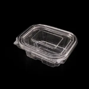 Kotak salad persegi sekali pakai kemasan makanan plastik deli wadah bening hewan peliharaan dengan tutup