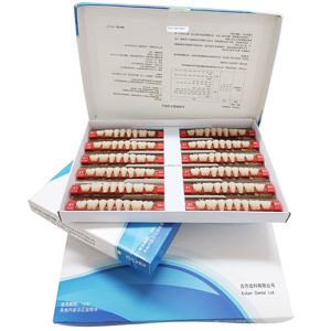Dents en résine acrylique <span class=keywords><strong>dentaire</strong></span> à trois couches pour prothèses dentaires, résine synthétique, dents en acrylique, <span class=keywords><strong>prothèse</strong></span> <span class=keywords><strong>dentaire</strong></span> - Product Image 3