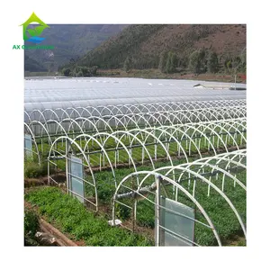 Barraca agrícola de baixo preço, casa verde politúnel de plástico túnel pe única-espião greenhouse para venda